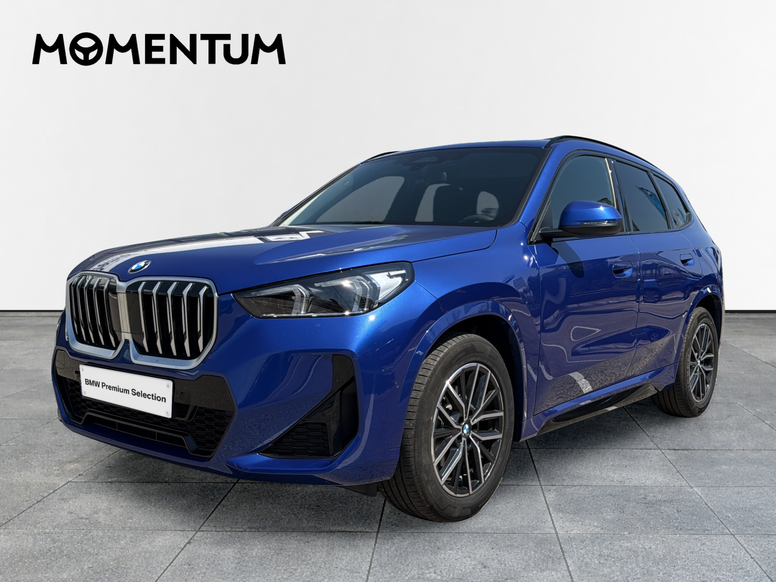 BMW X1 sDrive20d 120 kW (163 CV)