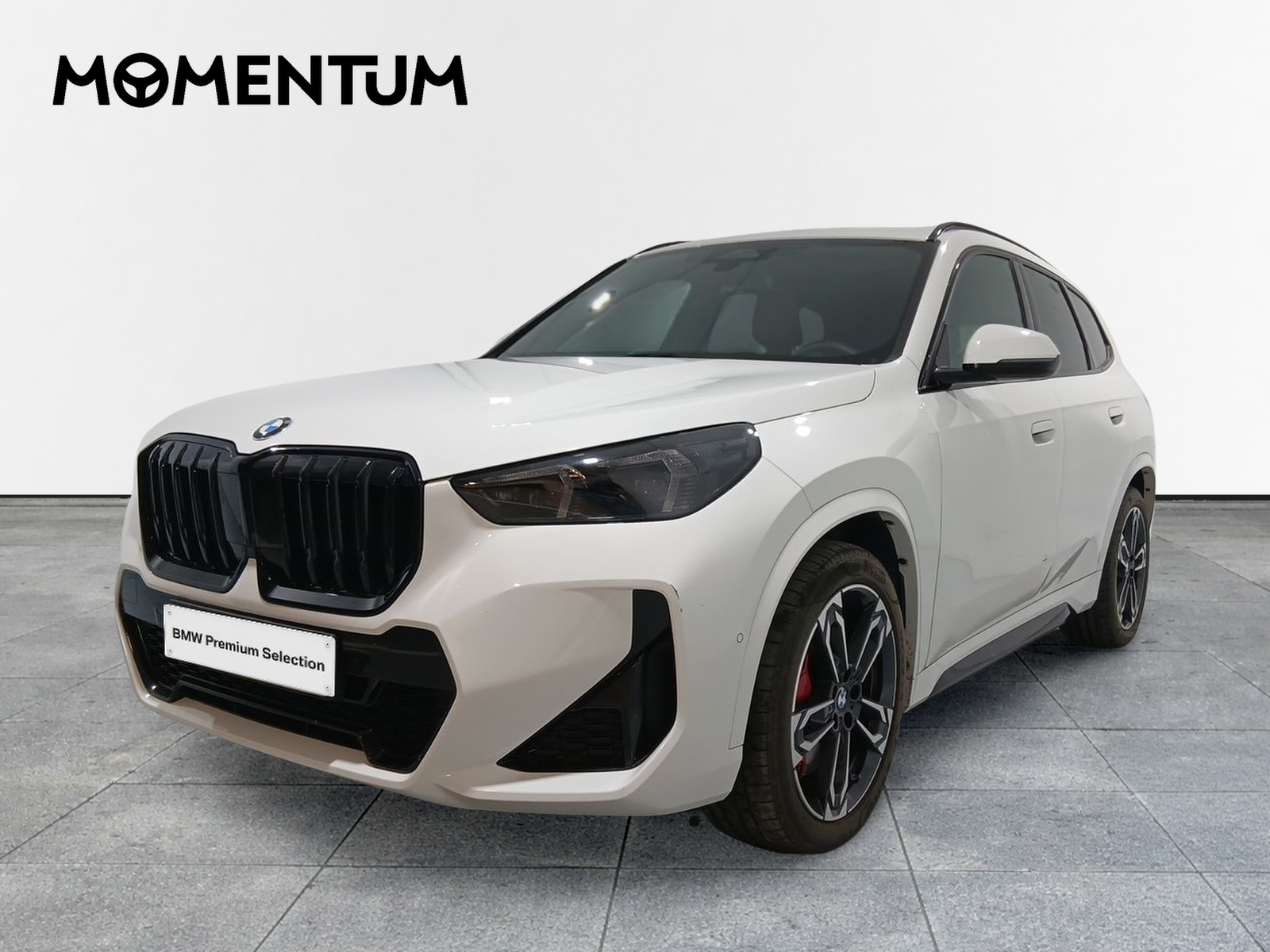 BMW X1 sDrive20d 120 kW (163 CV)