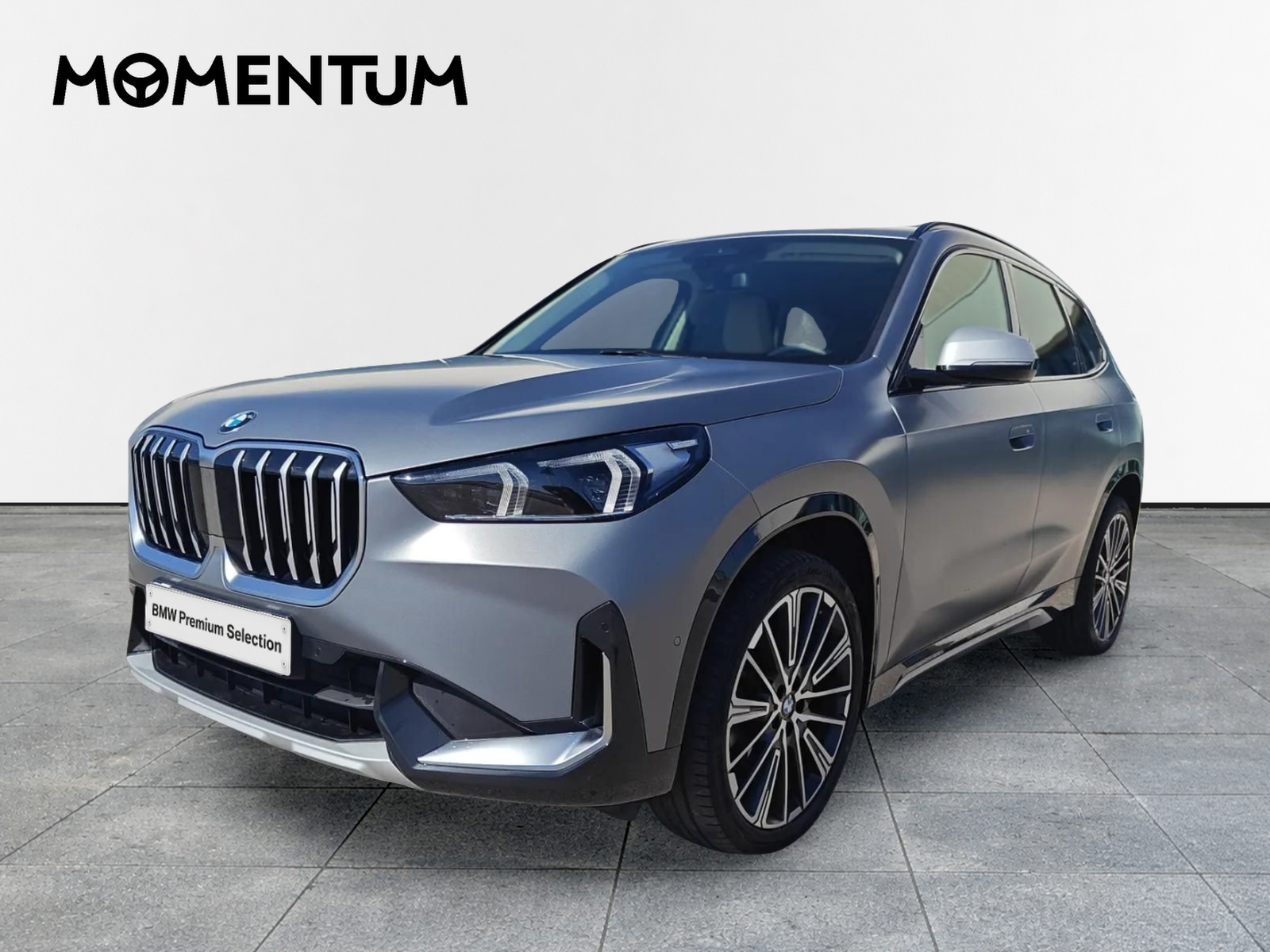 BMW X1 xDrive20d 120 kW (163 CV)