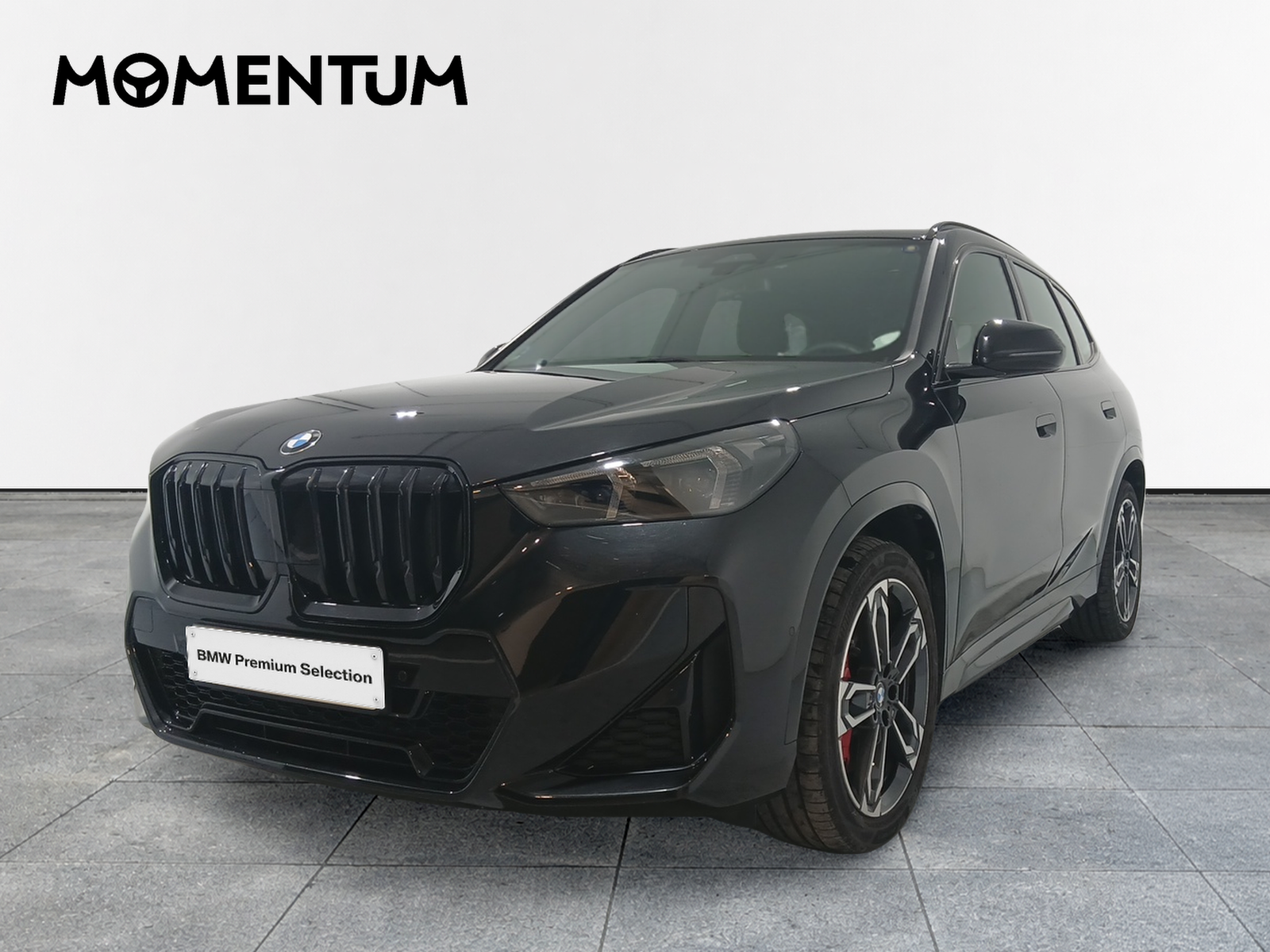 BMW X1 sDrive20d 120 kW (163 CV)