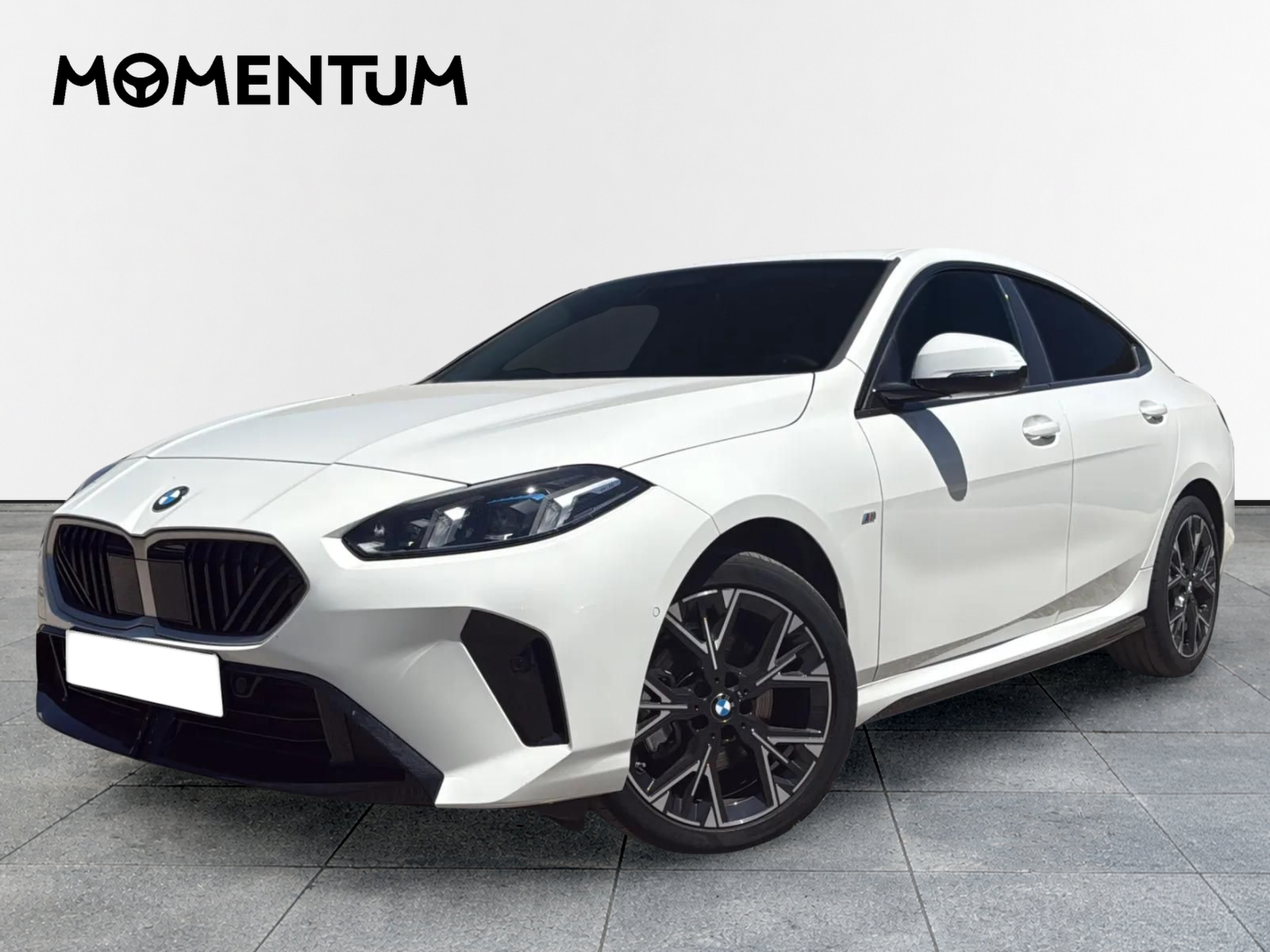 BMW Serie 2 220d Gran Coupe 120 kW (163 CV)