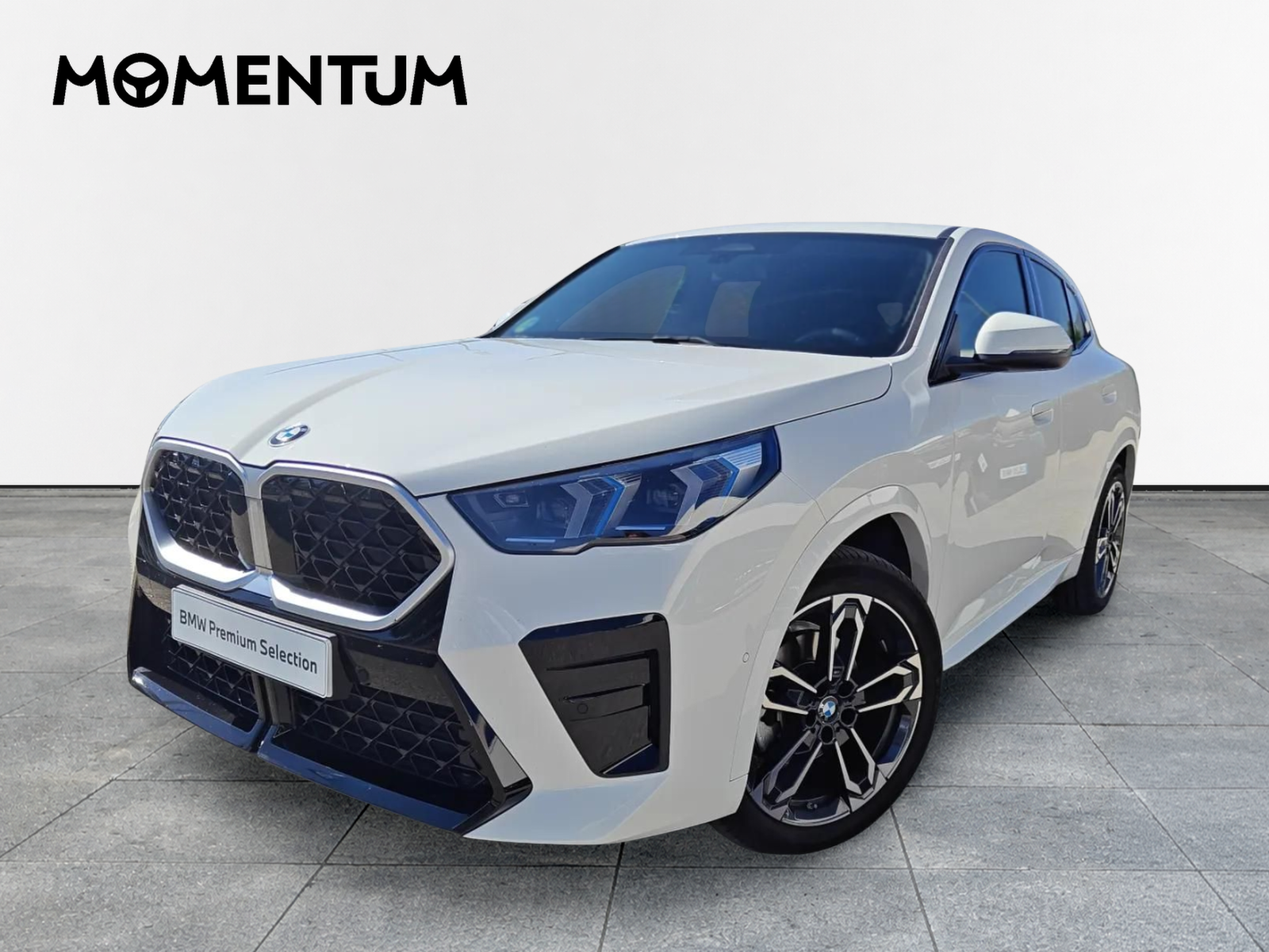 BMW X2 sDrive20d 120 kW (163 CV)