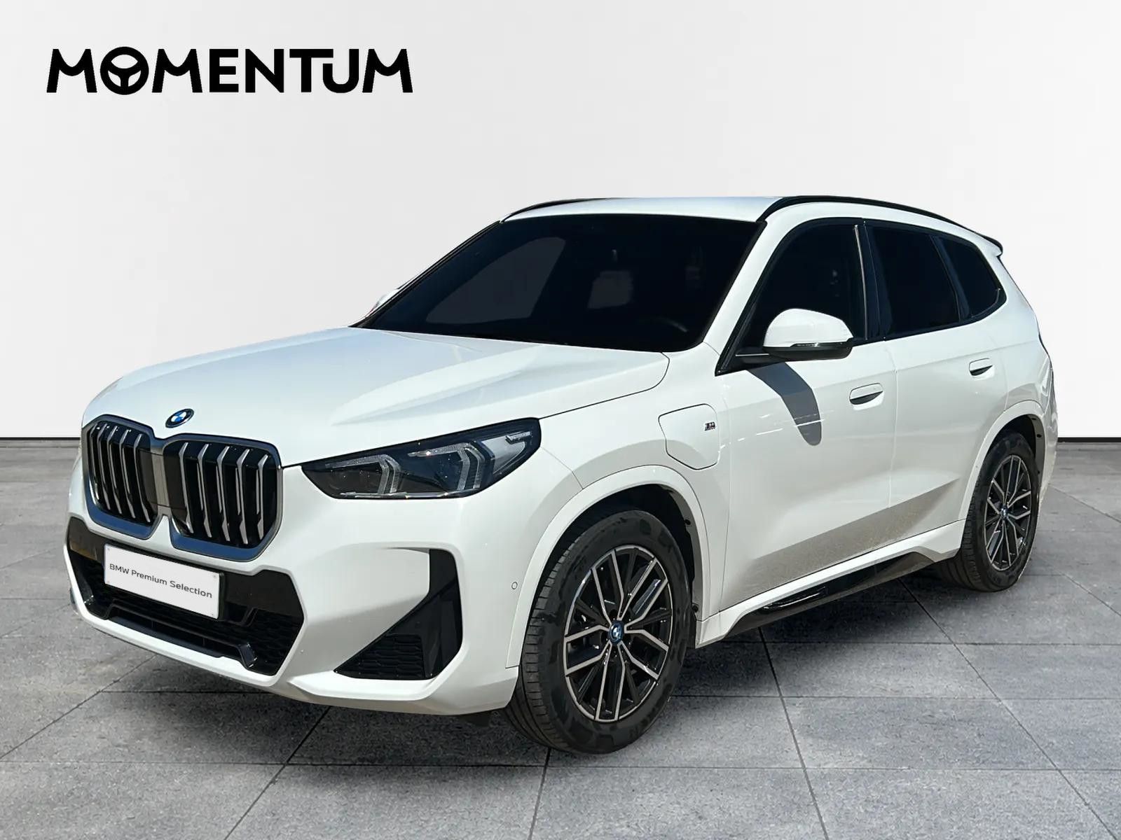 BMW X1 xDrive25e 180 kW (245 CV)