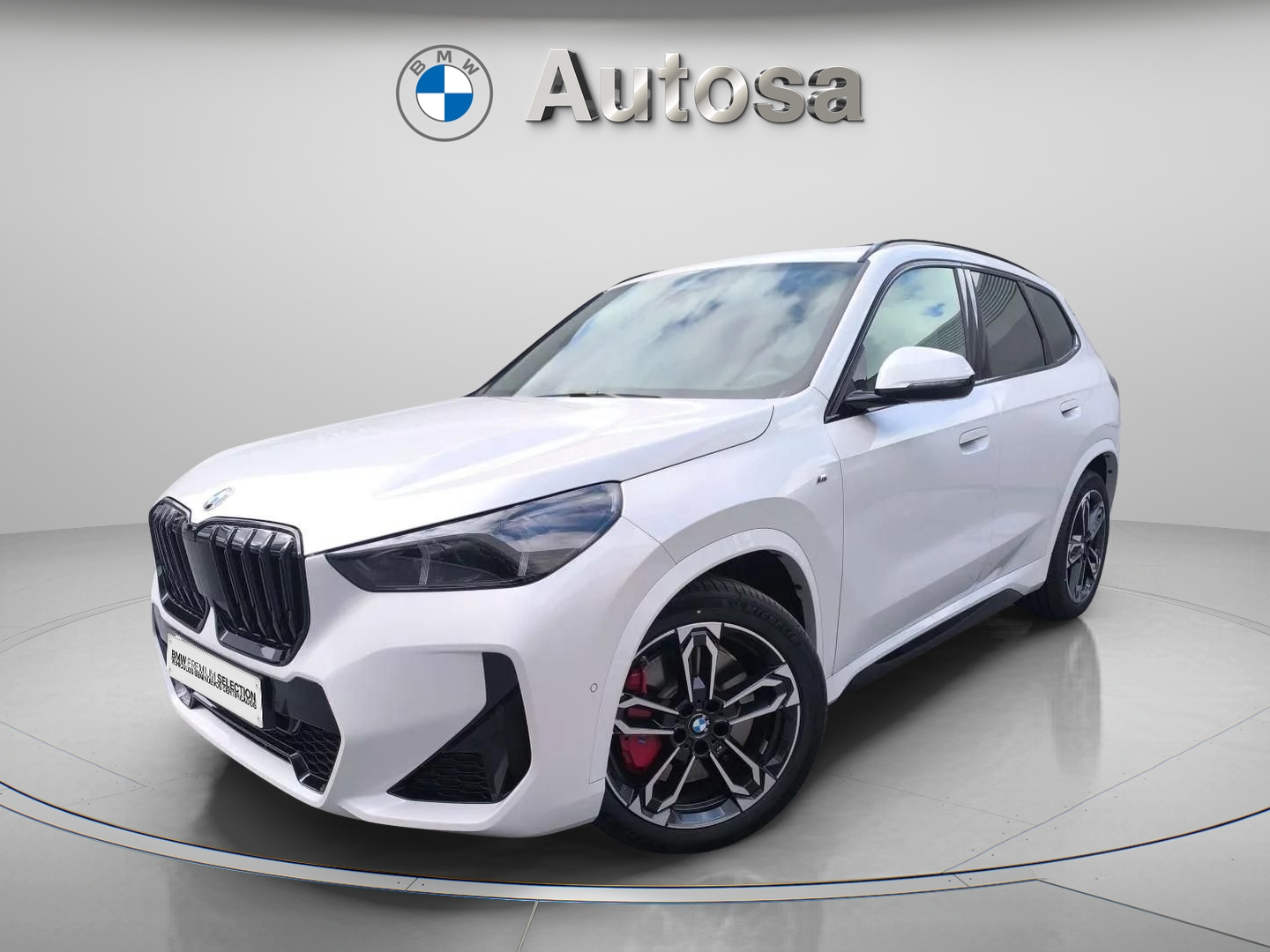 BMW X1 xDrive20d de segunda mano