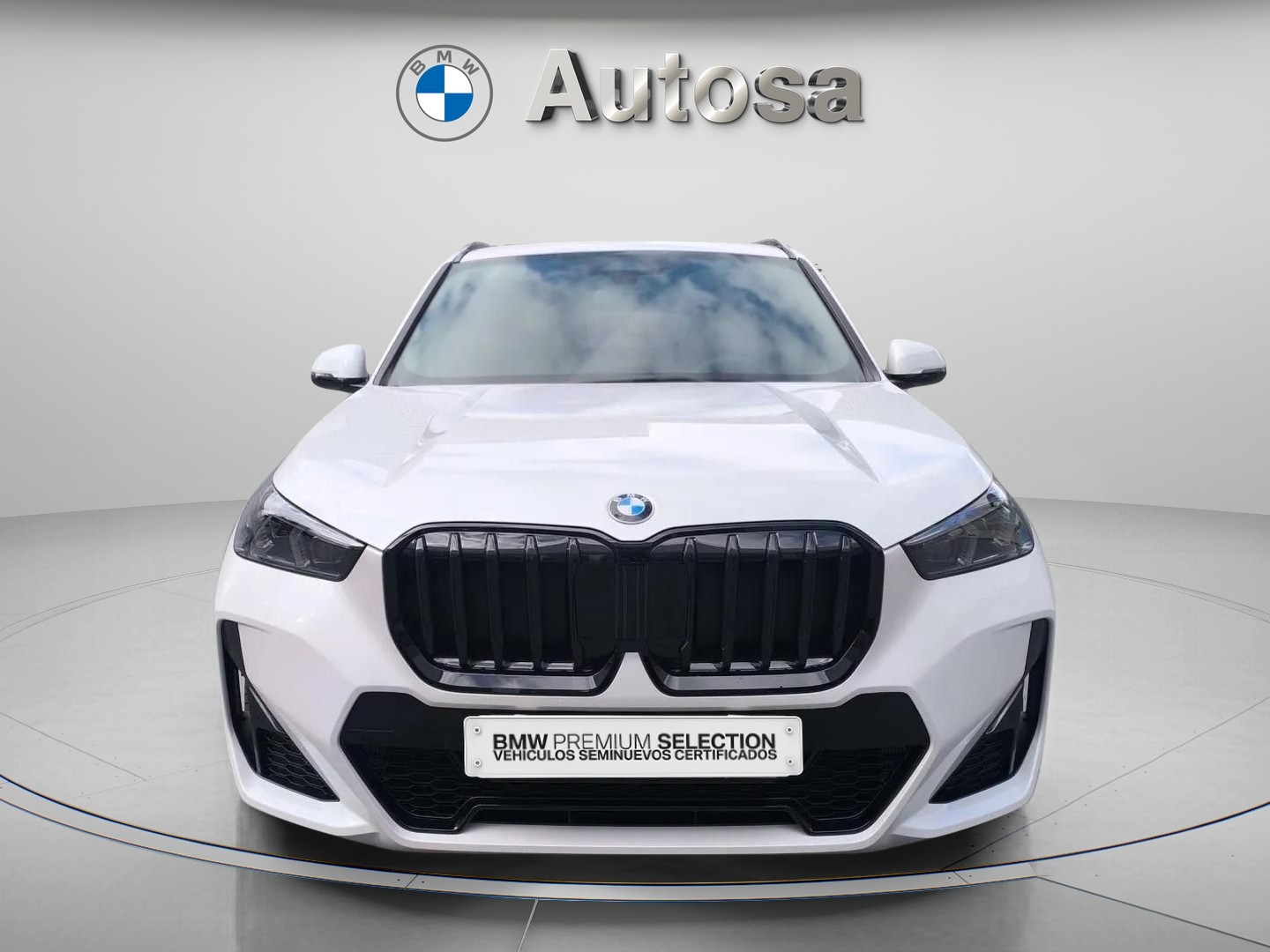 BMW X1 xDrive20d 120 kW (163 CV)