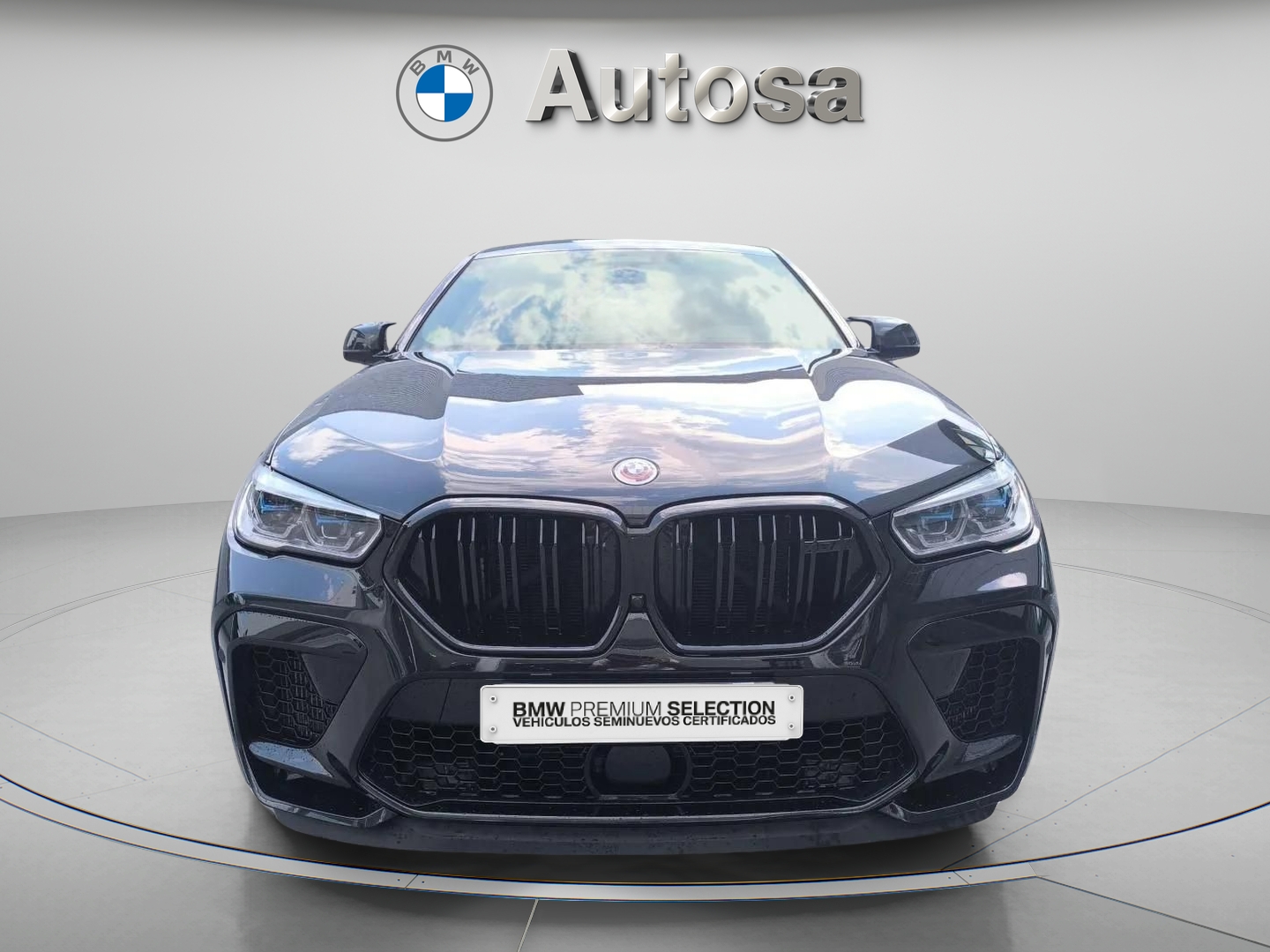 BMW M X6 M 441 kW (600 CV)