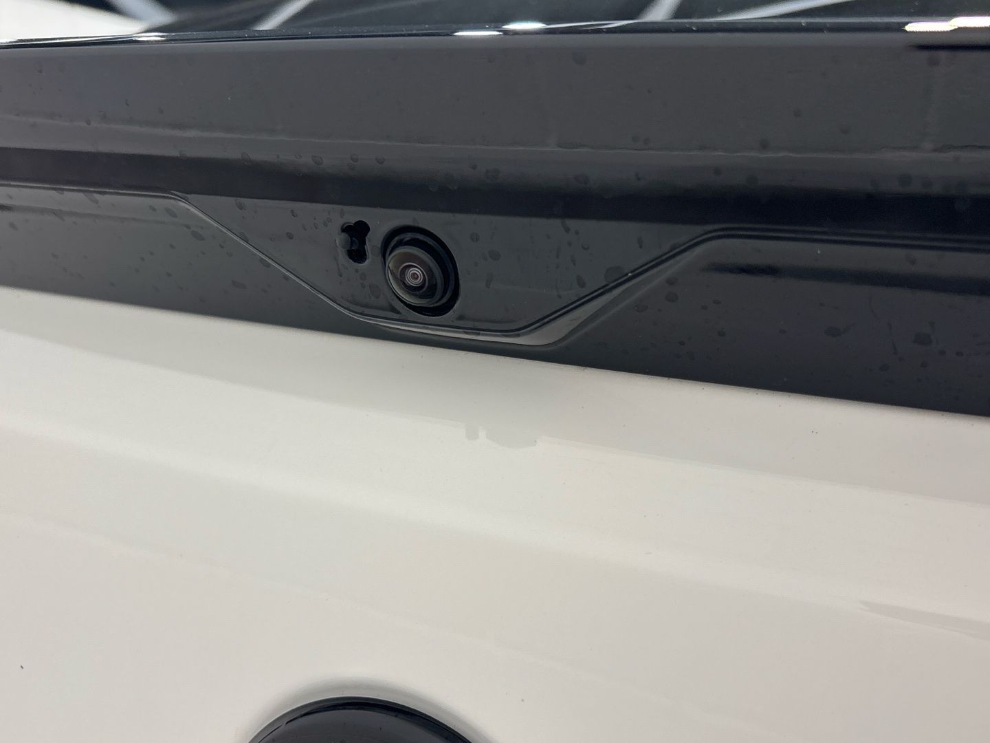 Imatge del vehicle 21