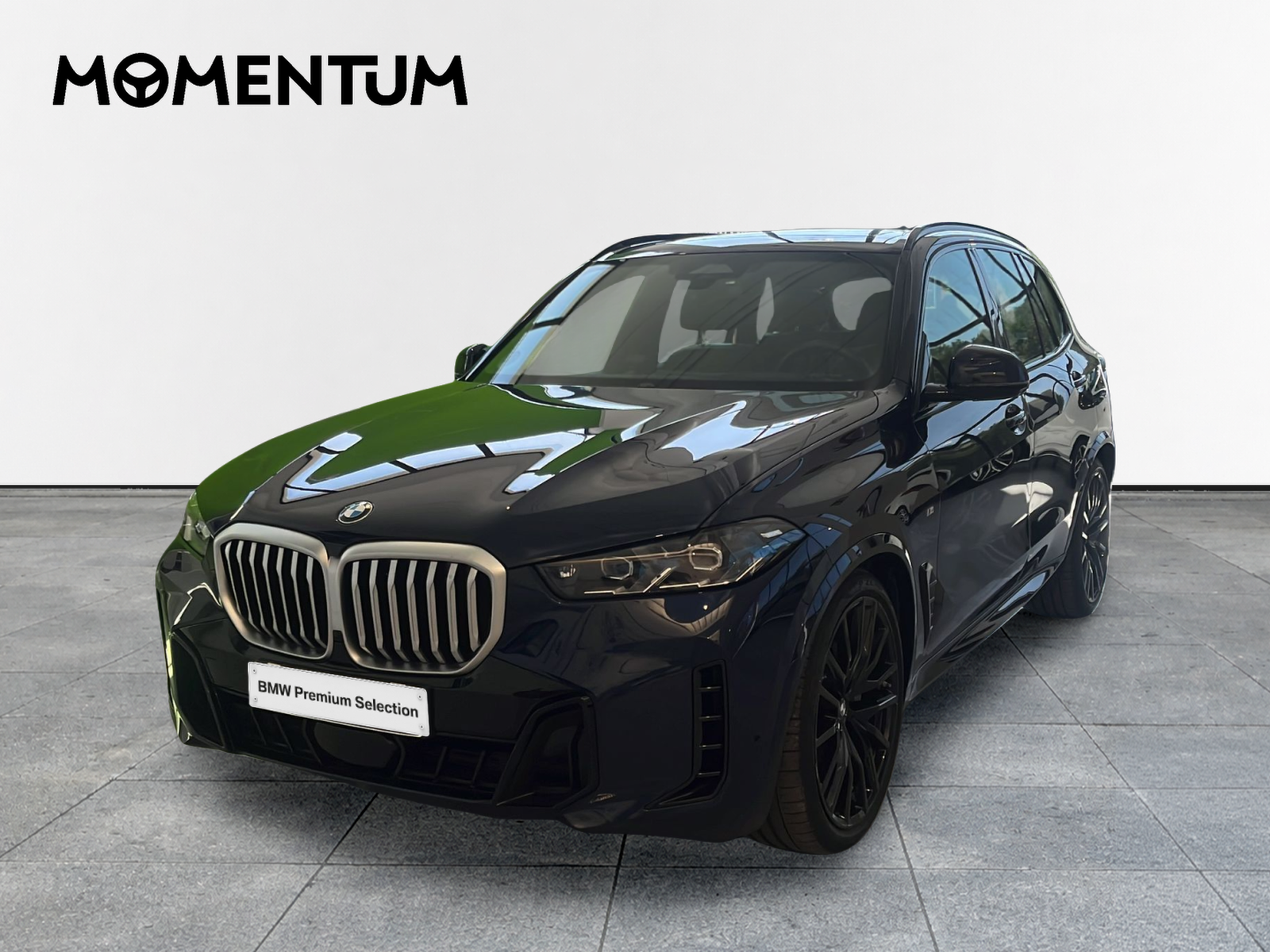 BMW X5 xDrive30d xLine 219 kW (298 CV)