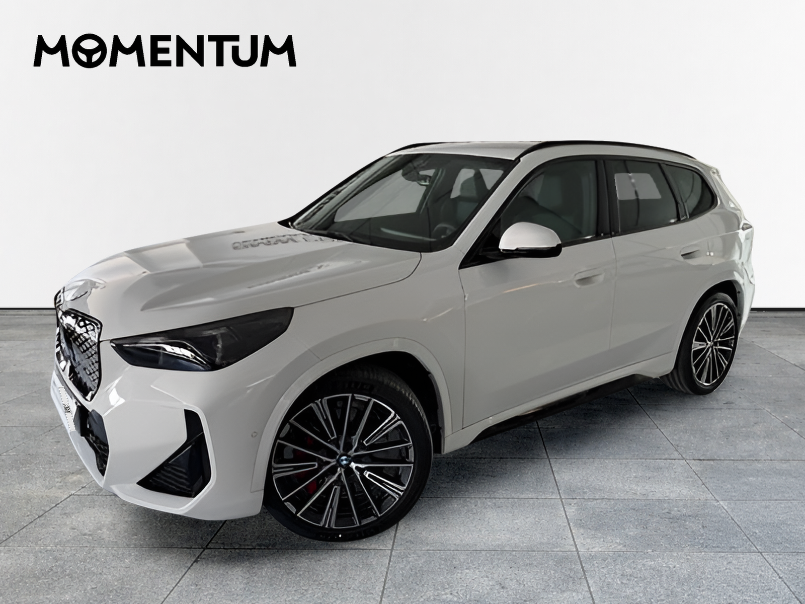 BMW iX1 xDrive30 230 kW (313 CV)
