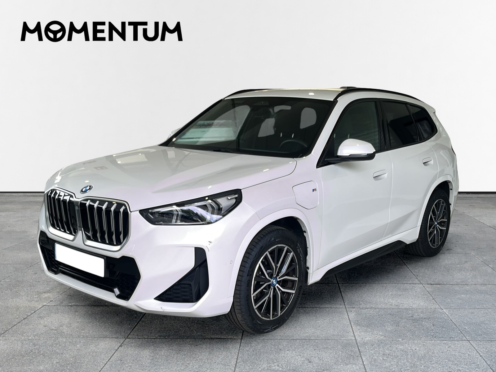 BMW X1 xDrive25e 180 kW (245 CV)