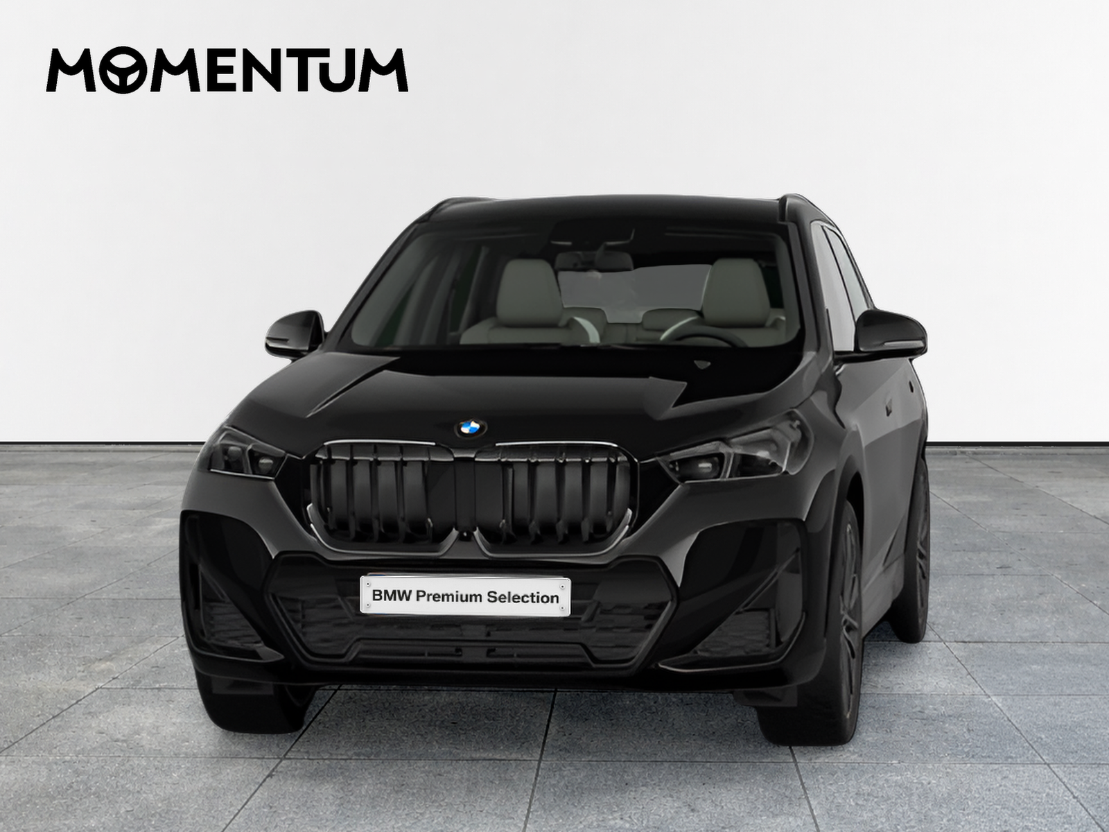 BMW X1 xDrive20d 120 kW (163 CV)