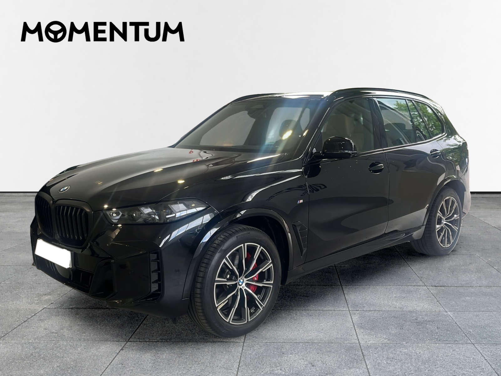 BMW X5 xDrive30d xLine 219 kW (298 CV)