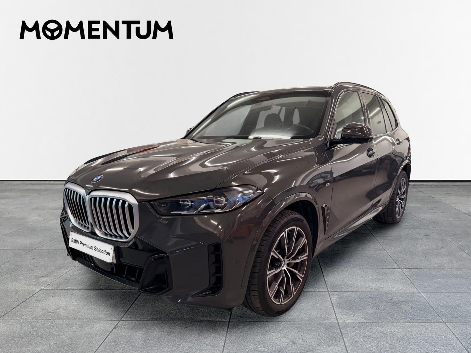 BMW X5 xDrive30d xLine 219 kW (298 CV)
