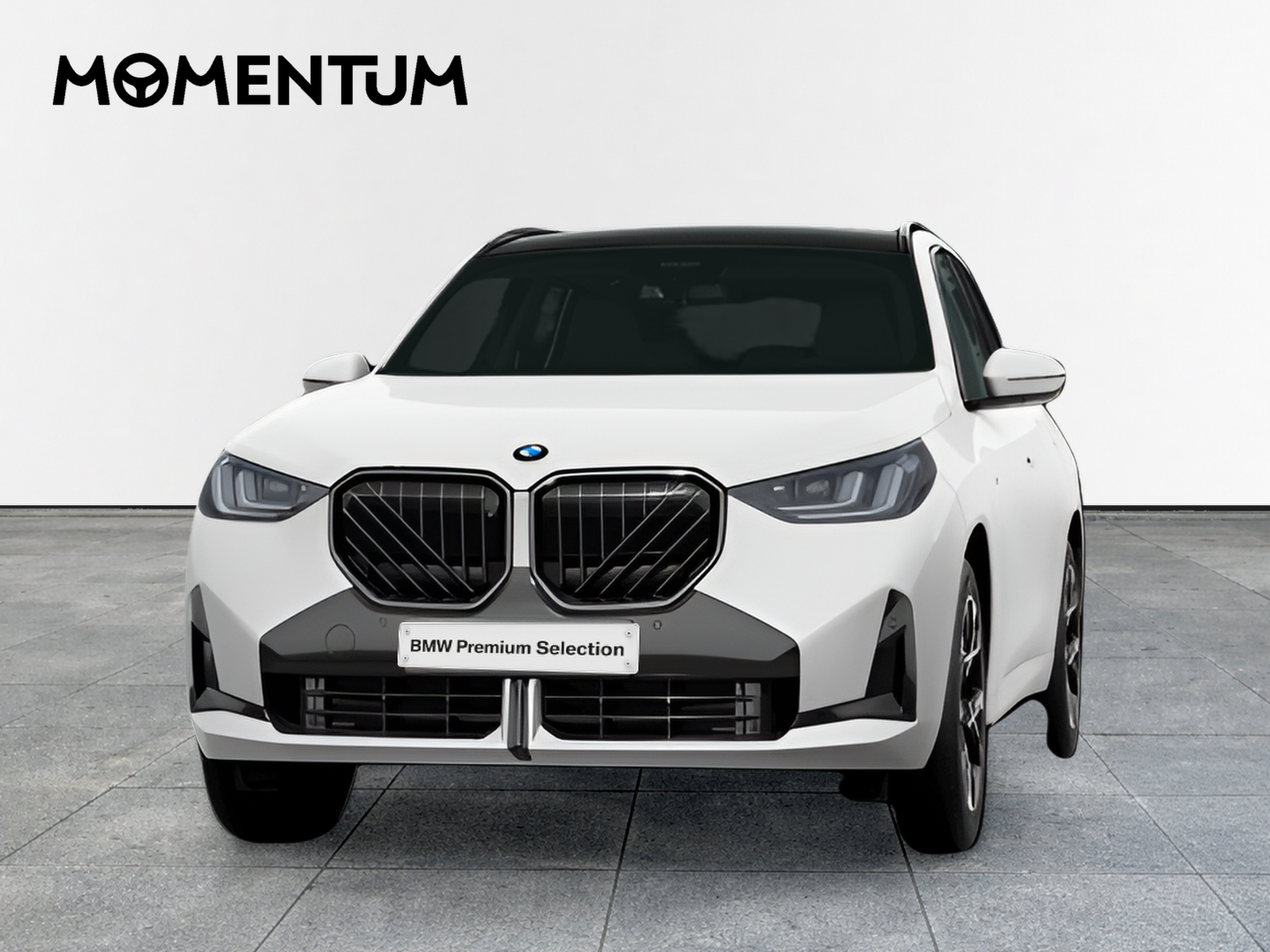 BMW X3 xDrive20d 145 kW (197 CV)