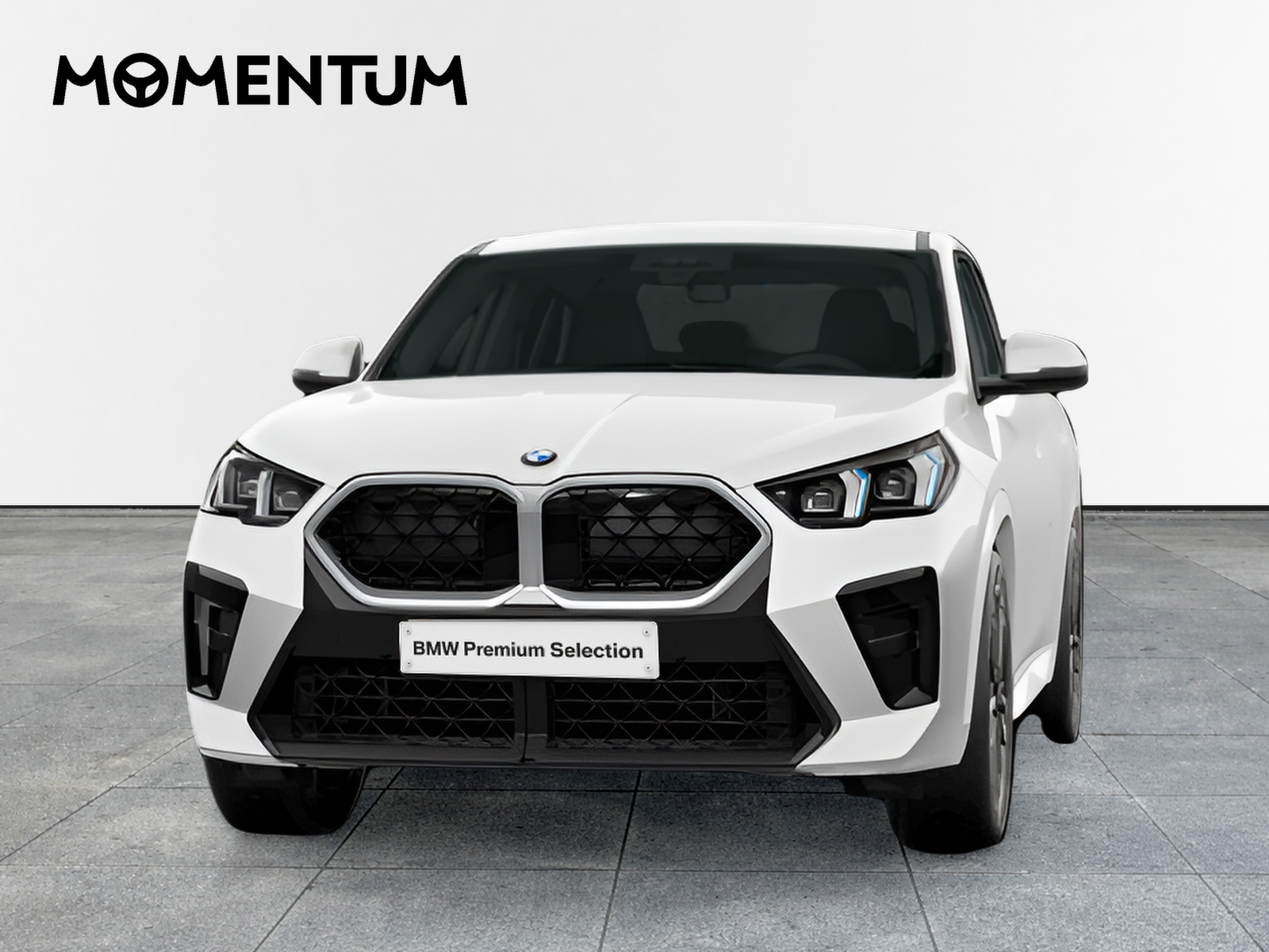 BMW X2 xDrive20d 120 kW (163 CV)