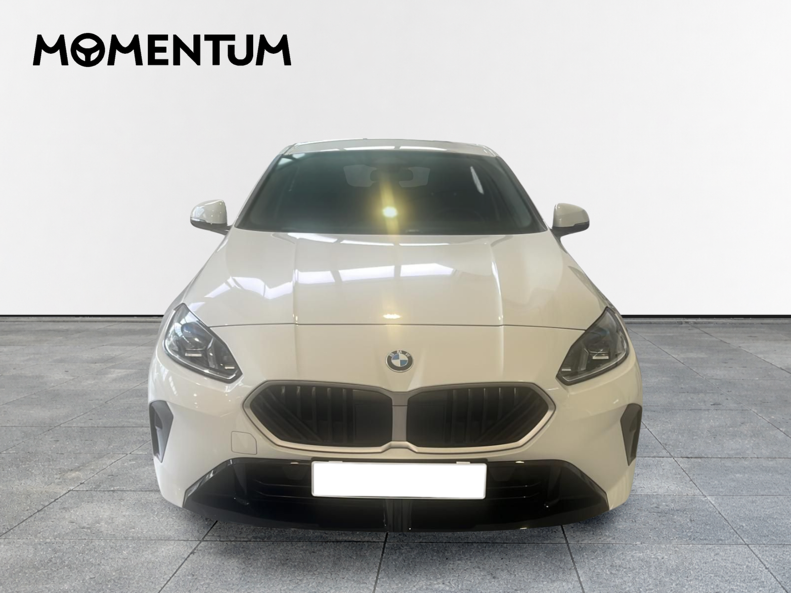 BMW Serie 1 120d 120 kW (163 CV)