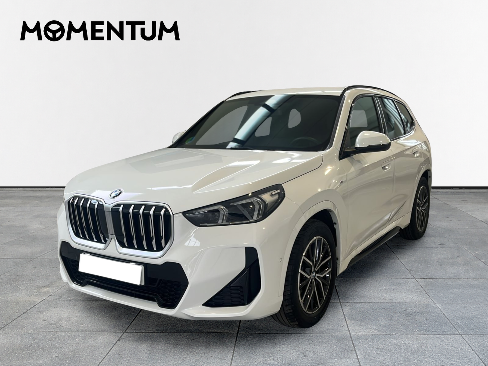 BMW X1 sDrive20d 120 kW (163 CV)